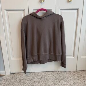 Zara Brown Hoodie Sweatshirt